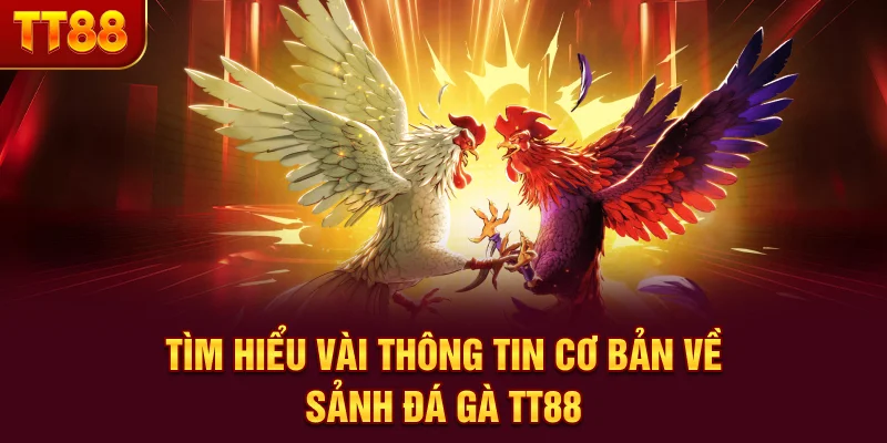 Tìm hiểu vài thông tin cơ bản về sảnh đá gà TT88